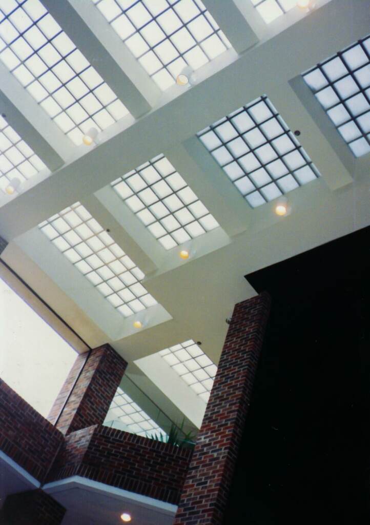 LardoBankTX-walkable-skylight walkable glass skylights
